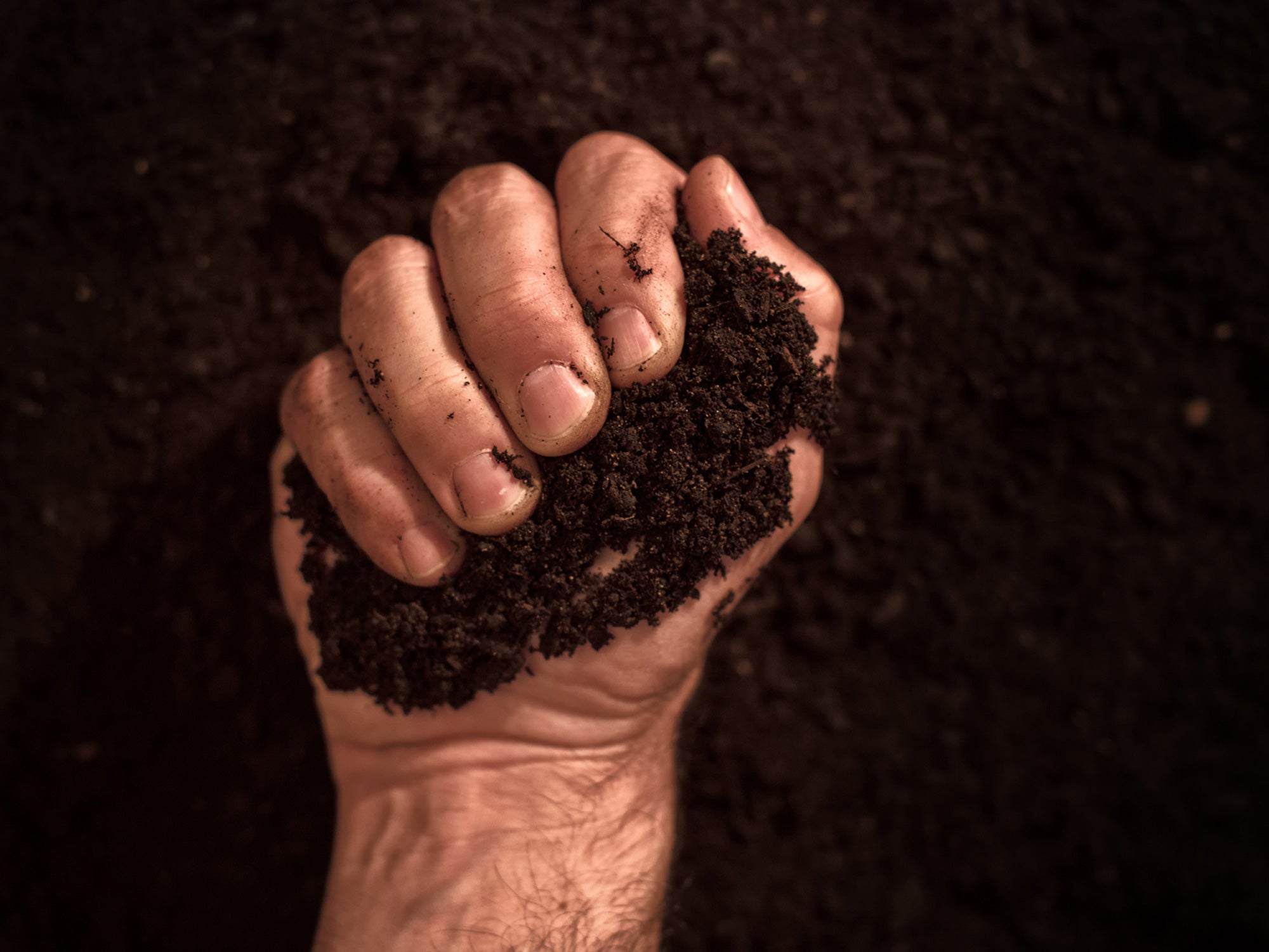 Sobre land grabbing, há fome de conscientização